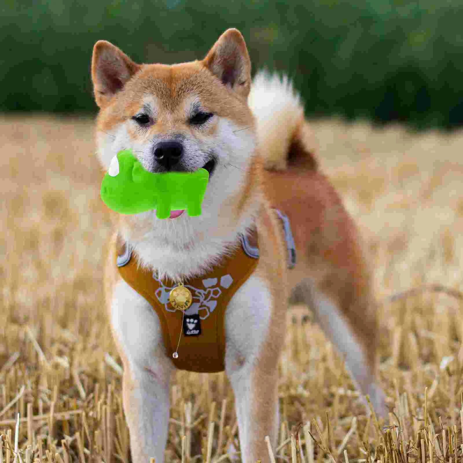 Pet Latex Toys Dog Pacifier Chew for Medium Dogs Pets Funny Small Puppy Interactive Puppies