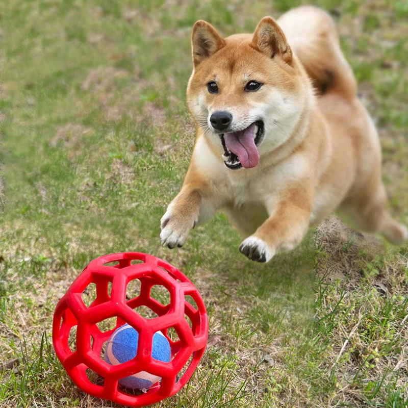 Cats and Dogs with Hollow Balls Cleaning Teeth Without Deformation Toys TPR Plastic Rubber Balls Christmas Bells Pet Toy Balls