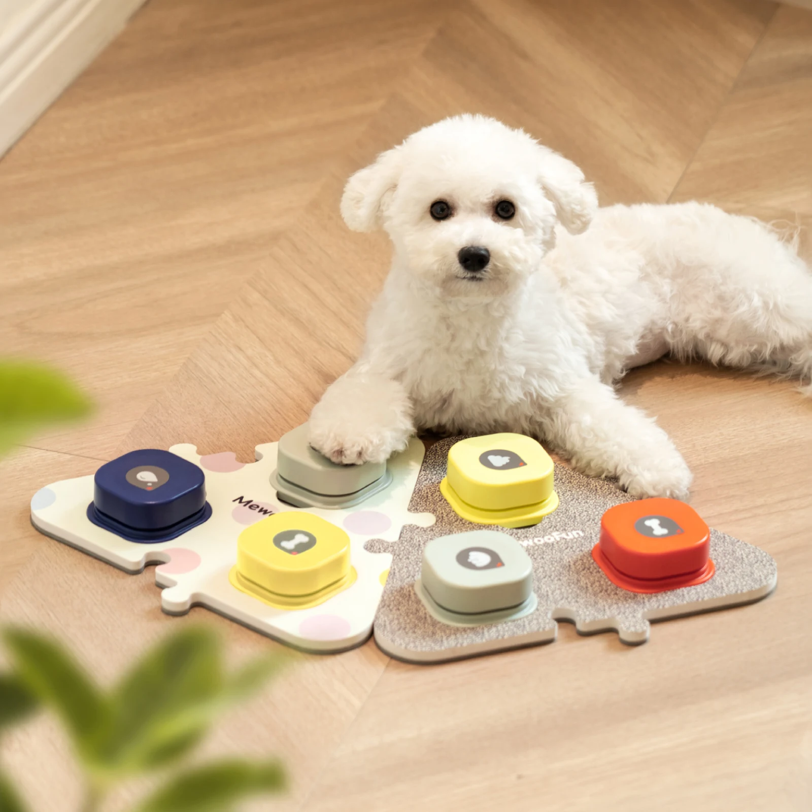 Mewoofun-Dog Botões para Comunicação Starter Pack, Botões Falantes com Esteira para Cães e Gatos, Pet Sound Training Toy