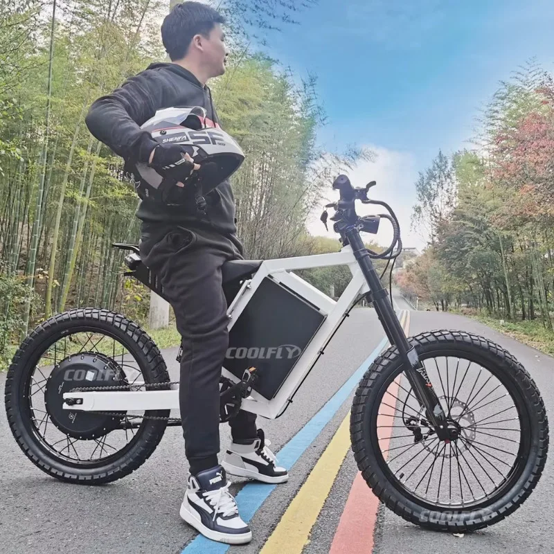 

Aluminium Alloy High Speed Cross Country Bicycle Powerful Electric Dirt for Adults Big Tire Mountain Bike With Good Quality