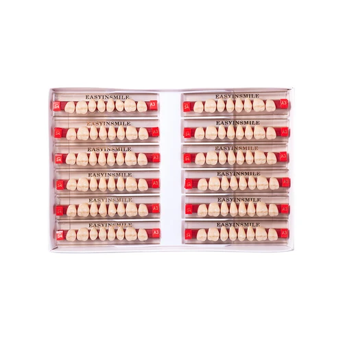 Imagen 2 del producto 16/12 juegos/caja dentadura Dental dientes superior Anterior inferior Dentier dientes A2 A3 polímero sintético modelo de educación Dental