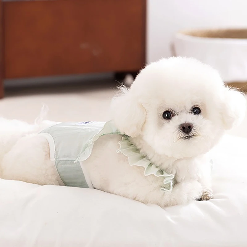 الصيف الحيوانات الأليفة تنفس فسيولوجيا السراويل الإناث الكلاب جميع شاملة الضرر الملابس تيدي سترات بلون #4