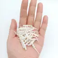 XZ012 10pcs WHITE