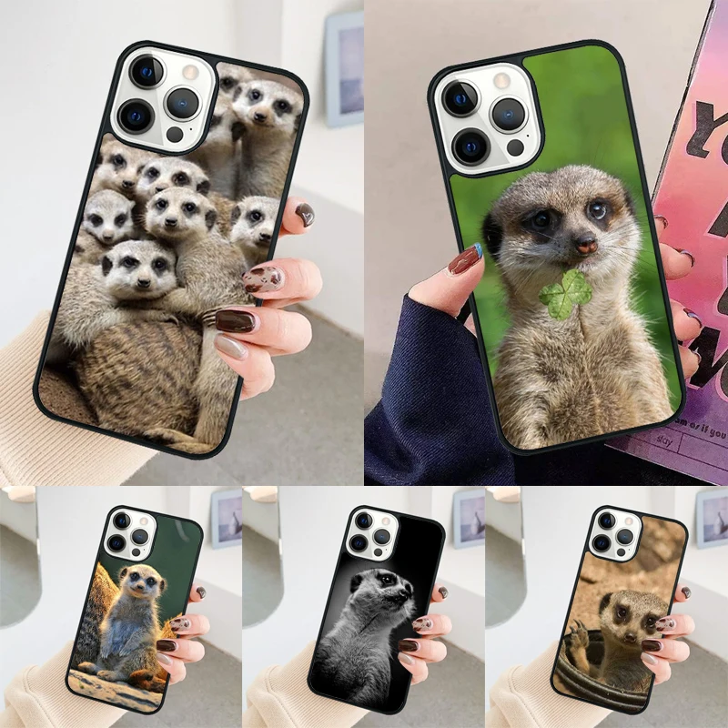 Cute baby meerkat phone case Cover For iPhone 14 15 16 Pro Max SE 2020 coque For apple 11 12 13 Pro Max Mini 7 8 Plus