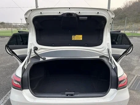 

Автоматические стойки задней двери с пружиной для Toyota Crown (S220) 15, 2018-2022, седан, багажник, подъемник багажника, амортизатор, демпфер