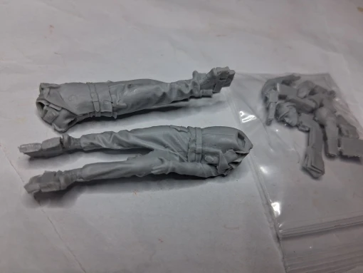 Buyer photo of this resin kit