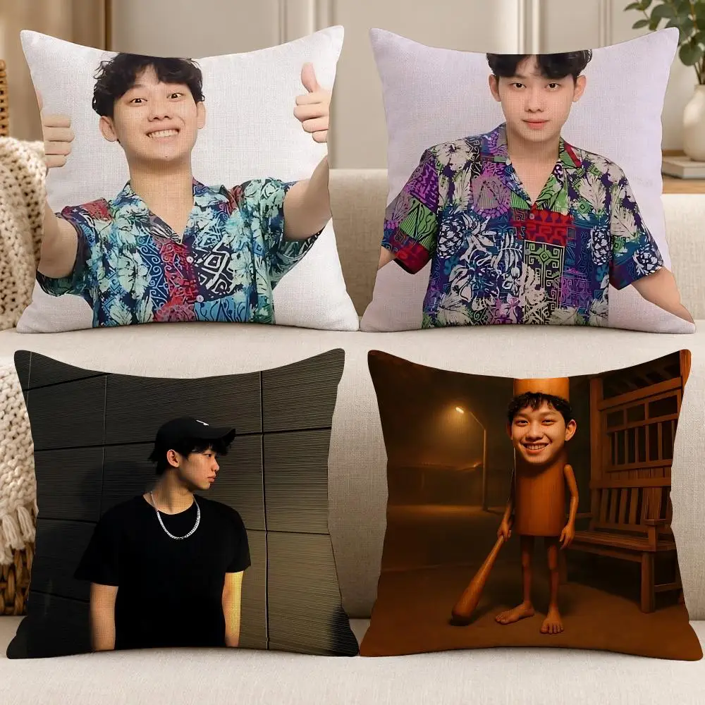 Influencer Popular W-Willie Salim Cushion Cover Soft Short Cover Washable Sofa Bed Dorm Garden Home Office Chair Decor