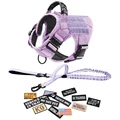 purple 14 pieces