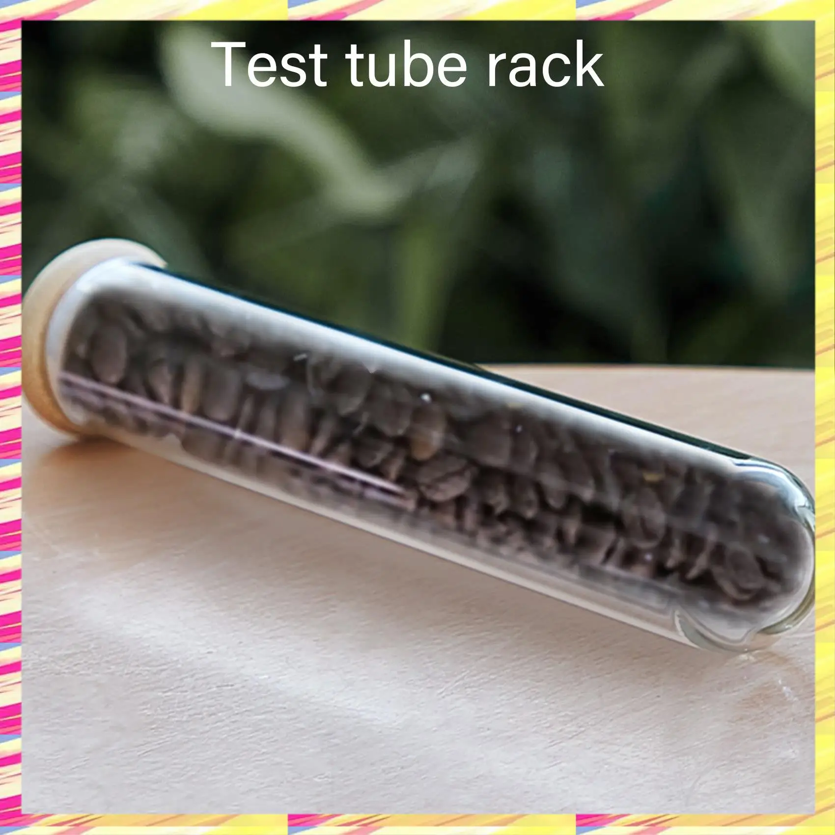 

ABJJ Wooden Coffee Beans Tea Display Rack Stand Glass Test Tube Sealed Storage Decorative Ornaments Cereals Canister For Barista