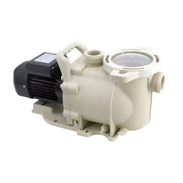 

LX Self Priming Pump Of Sea Water Swimming Pool Pump And Filter