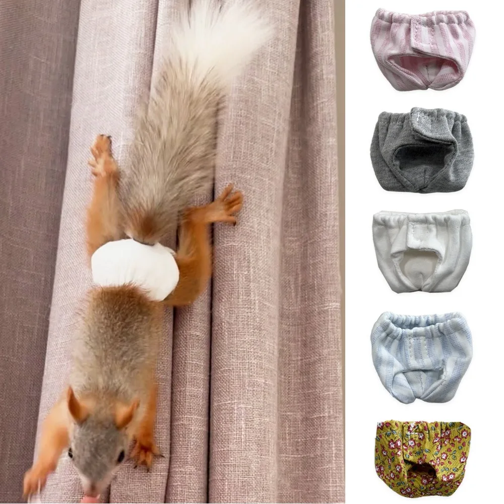 Practical Absorbent Squirrel Diapers Breathable Leak-Proof P