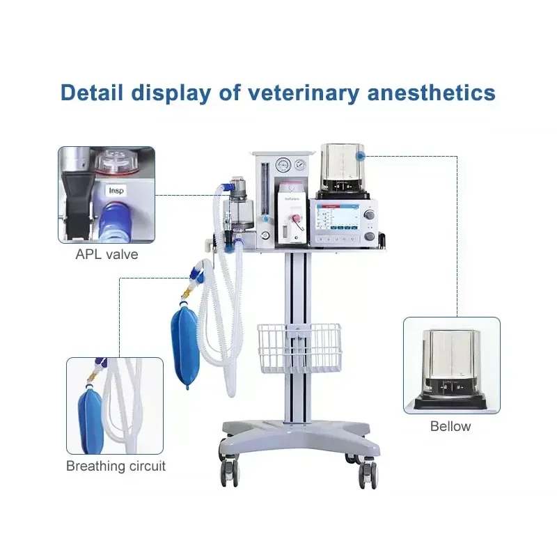 Best Selling Veterinary Medical Ventilation Apparatus Anaesthesia Instruments Anesthesia Machine