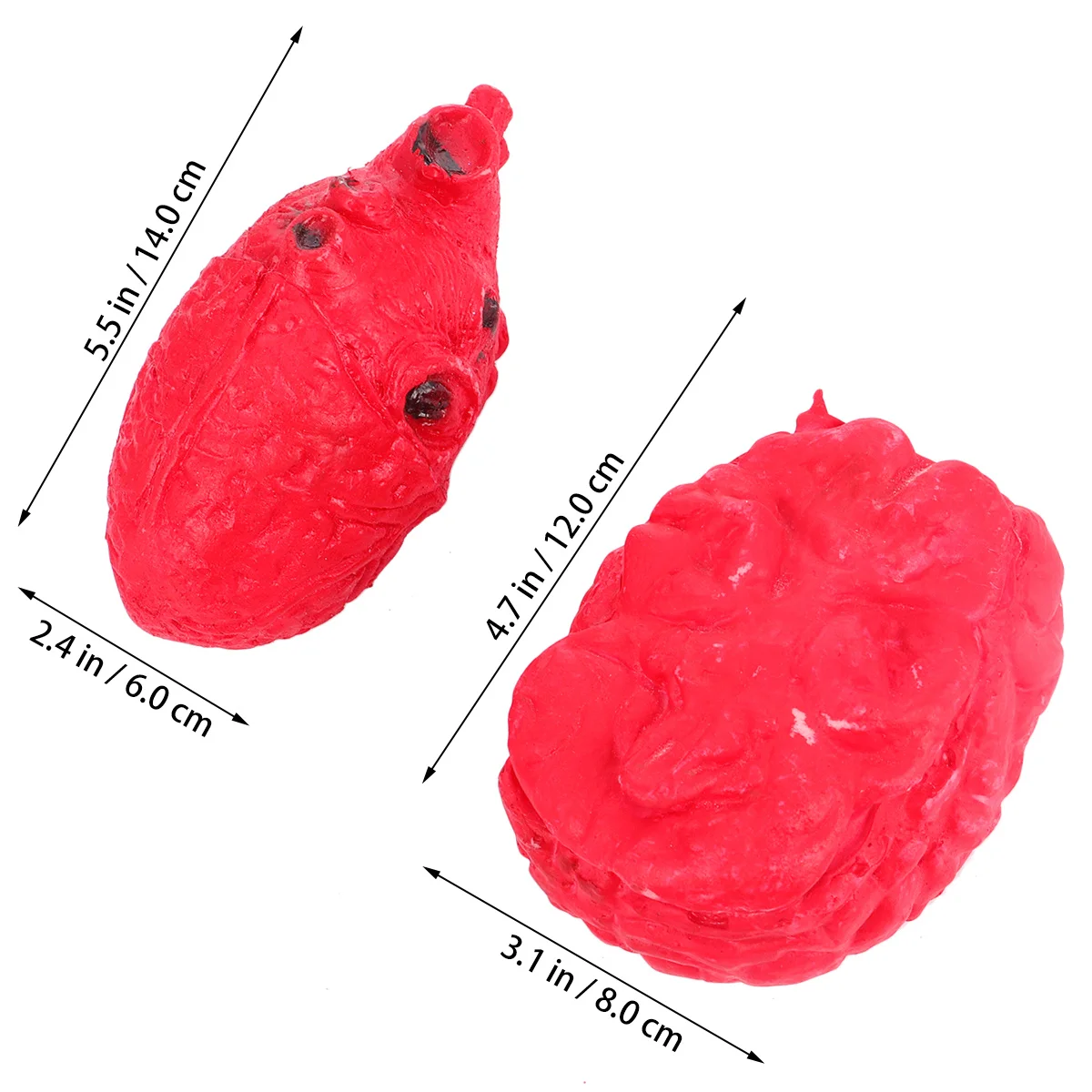 2 pièces Halloween cerveau coeur horreur accessoires réaliste partie du corps effrayant décoration effrayant accessoire blague fête Halloween cerveau coeur