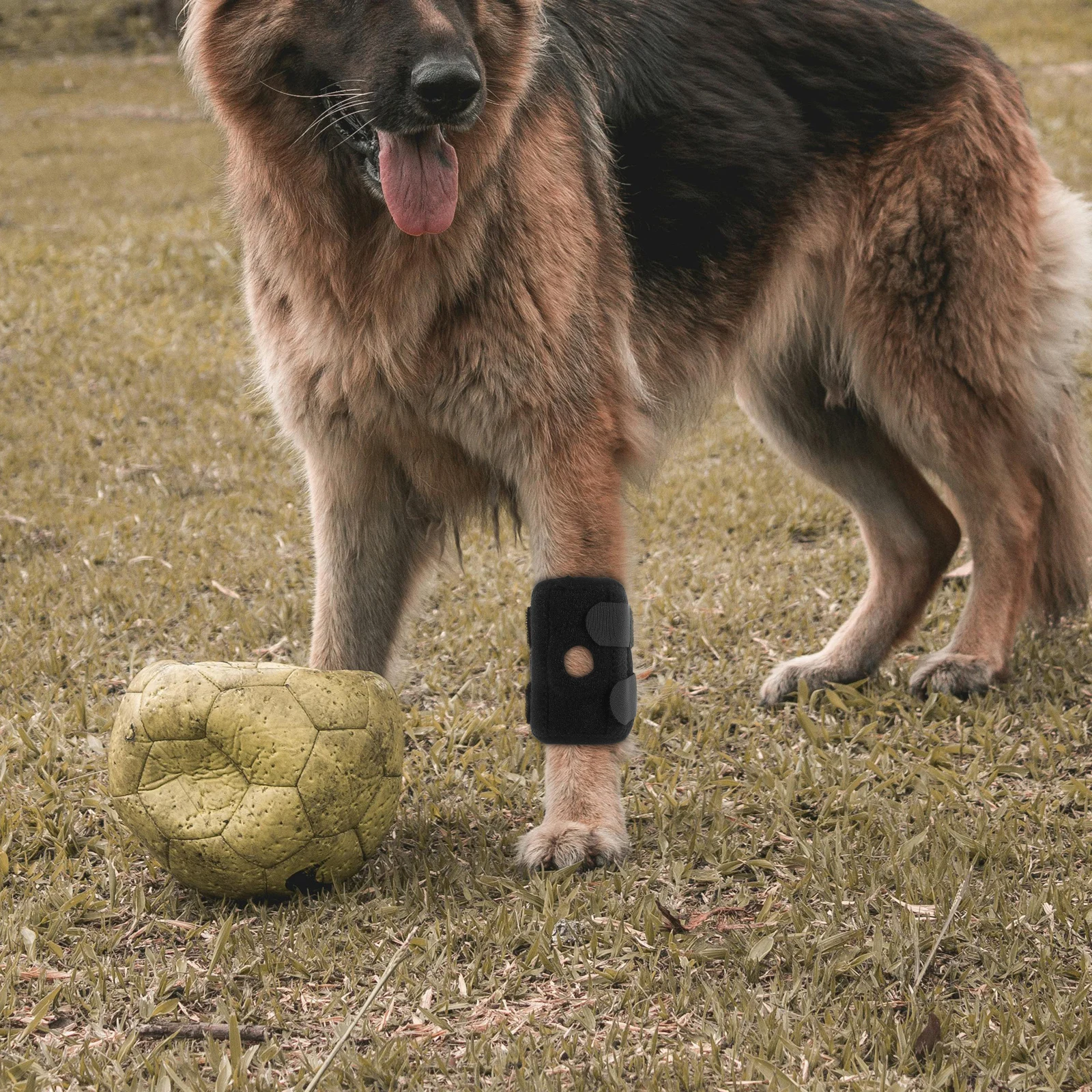 

Pet Knee Guards Dog Elbow Protector Adjustable Fit Joint Protectors Leg Braces Durable Breathing Material Hip Brace Cat Knee