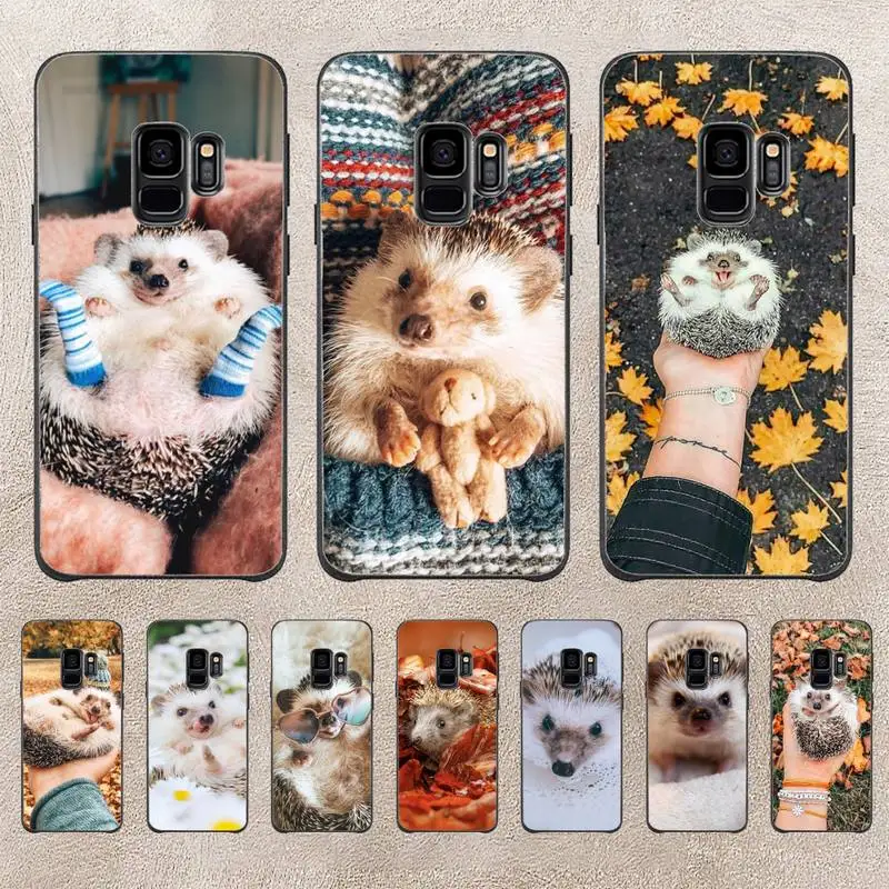 

Cute Animal Hedgehog Phone Case For Samsung Galaxy A51 A50 A71 A21s A71 A41 A70 A30 A22 A02s A53 A72 A73 5G Cover