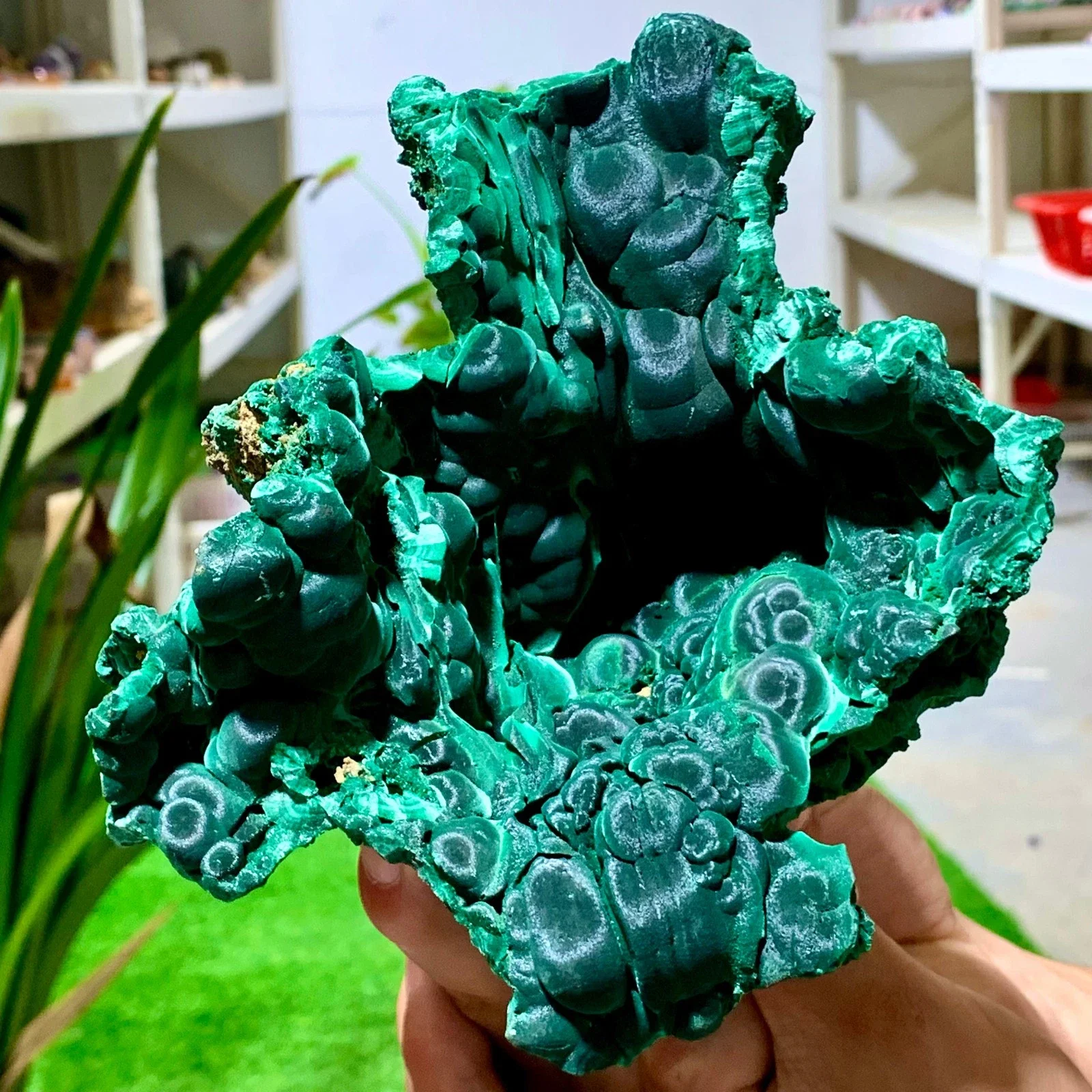 الملكيت المخملي الطبيعي، مجموعات كريستال من الحجر الخام الكريستالي، أحجار كريمة للطاقة مع خصائص الشفاء الروحي، العرافة #4