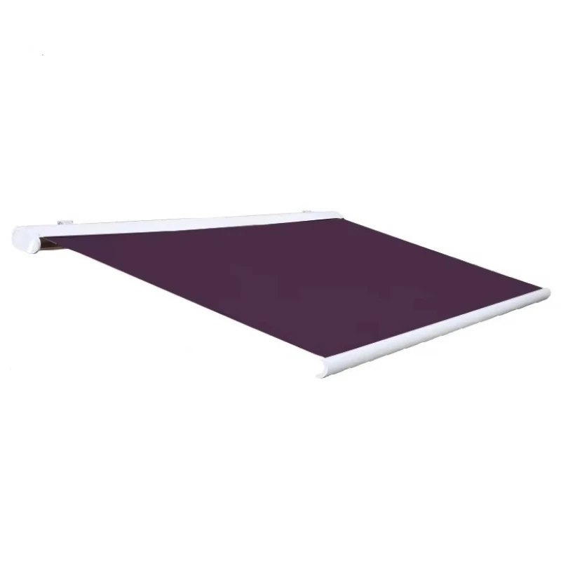 

Motorized European Style Cassette Aluminum Window Door Retractable Awning