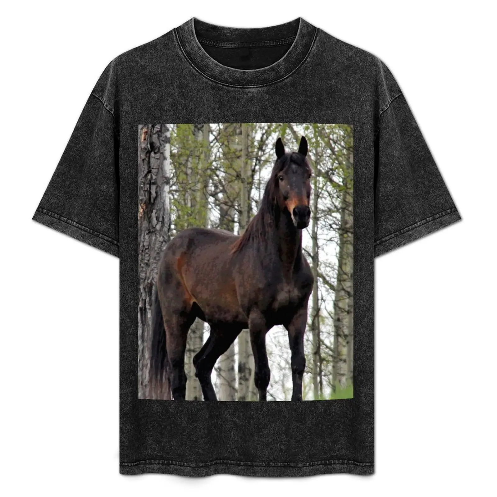 Camiseta ligera para deportes al aire libre con diseño de caballo Percheron Thoroughbred