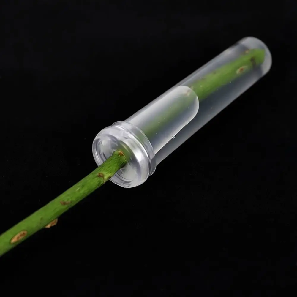 Fresh Flower Nutrient Tube Water Vial Set For Bouquet Arrangement Florist Accessory Tool Preservative Stem Holder Vials