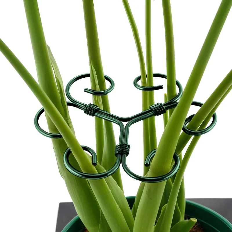 Support de plante en métal, 3 pièces, support de fleurs, support stabilisateur anti-chute pour plantes vertes