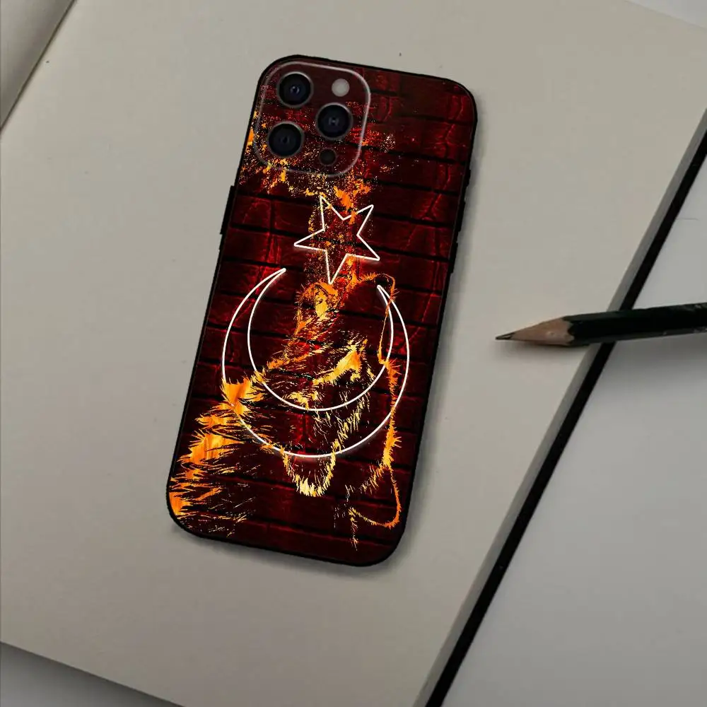 1 قطعة T-تركيا T-التركية العلم التركي جراب هاتف آيفون 17,16,15,14,13,12 زائد ، ماكس لينة سيليكون غطاء أسود