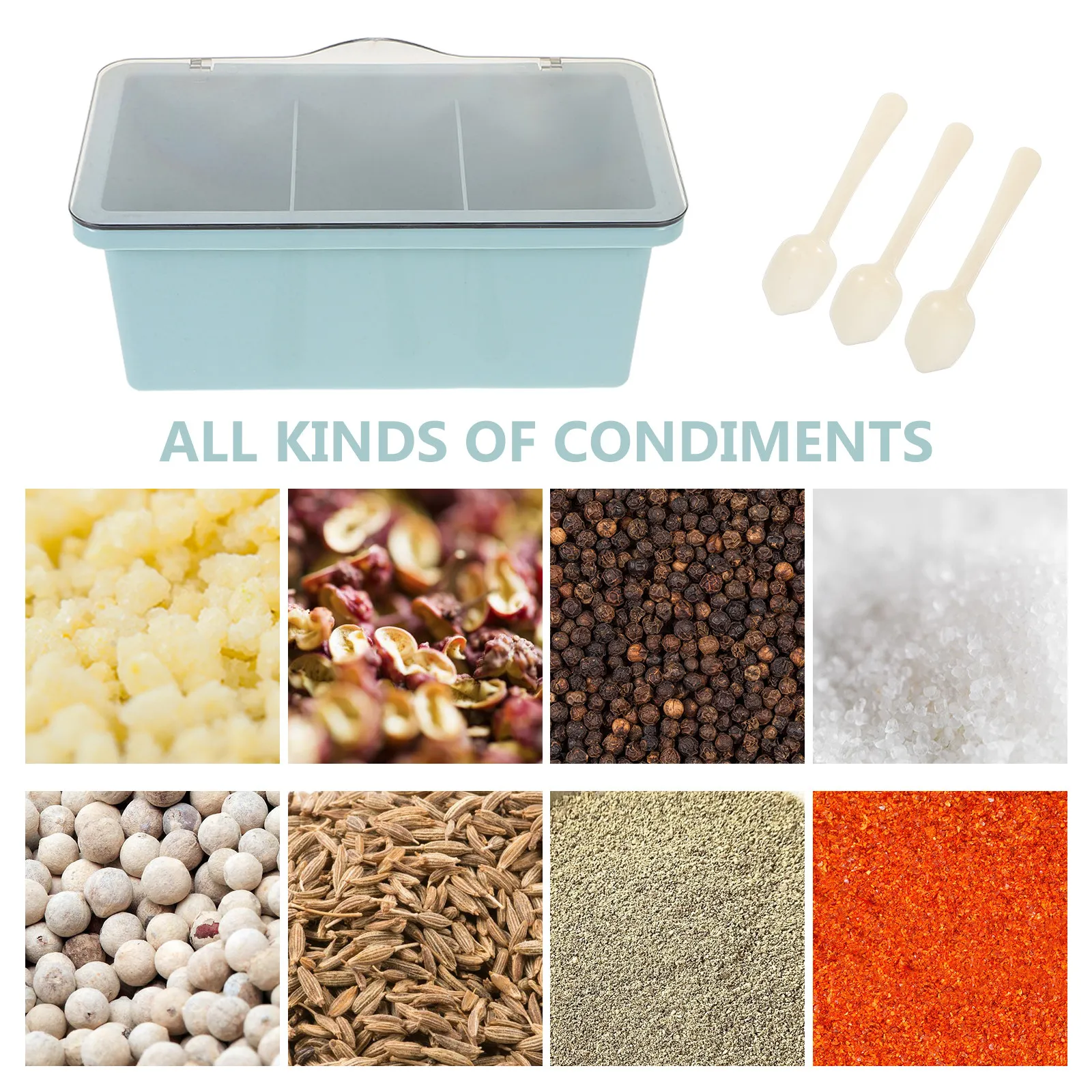 1Set Condiment Storage Box Multi-Grid Spice Organizer Lightweight Portable Airtight Seasoning Container for Pantry Countertop