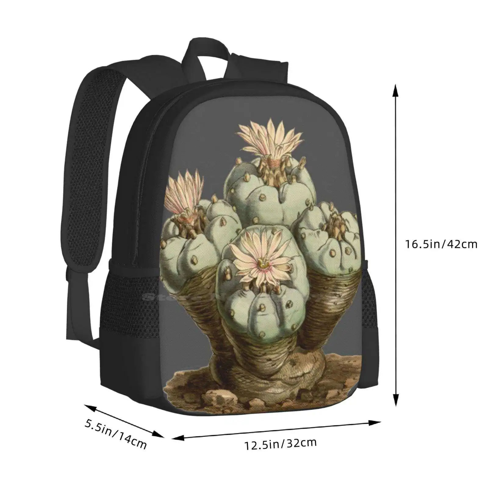 Lophophora williamsii/peyote-antike botanische illustration 1847 tasche rucksack für männer frauen mädchen teenager kaktus peyote