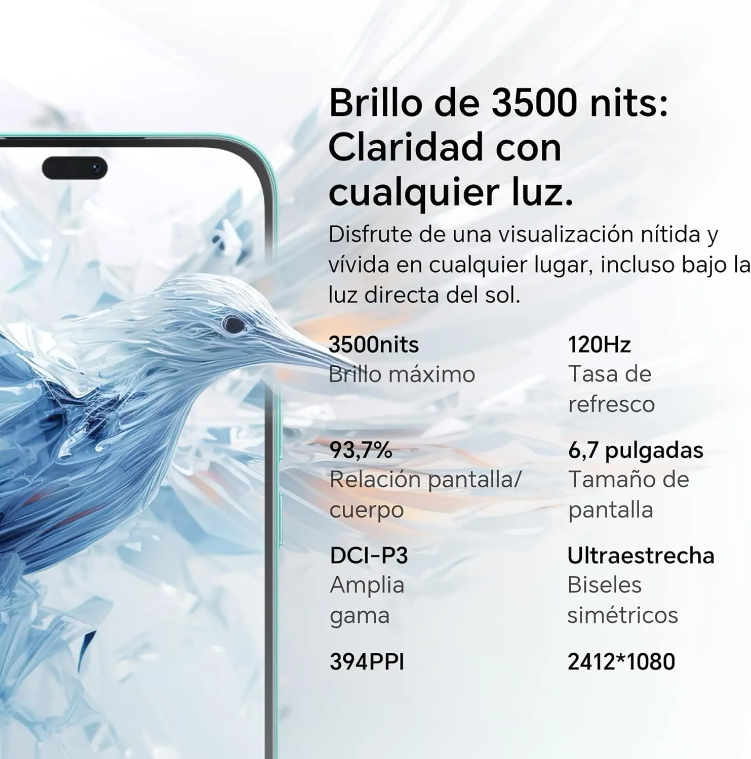 Imagen 6