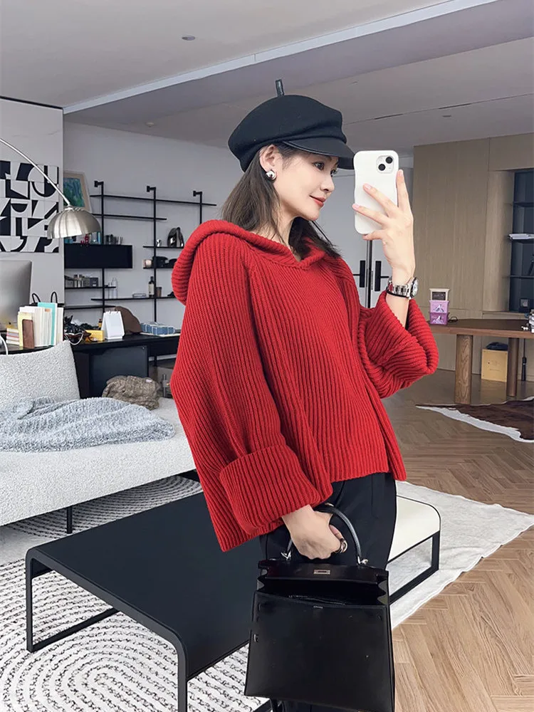 Korean style Long Sleeve Sweater Autumn Winter New Hooede Womens Clothing Pullover Tops Warm Fashion Women Knitwears