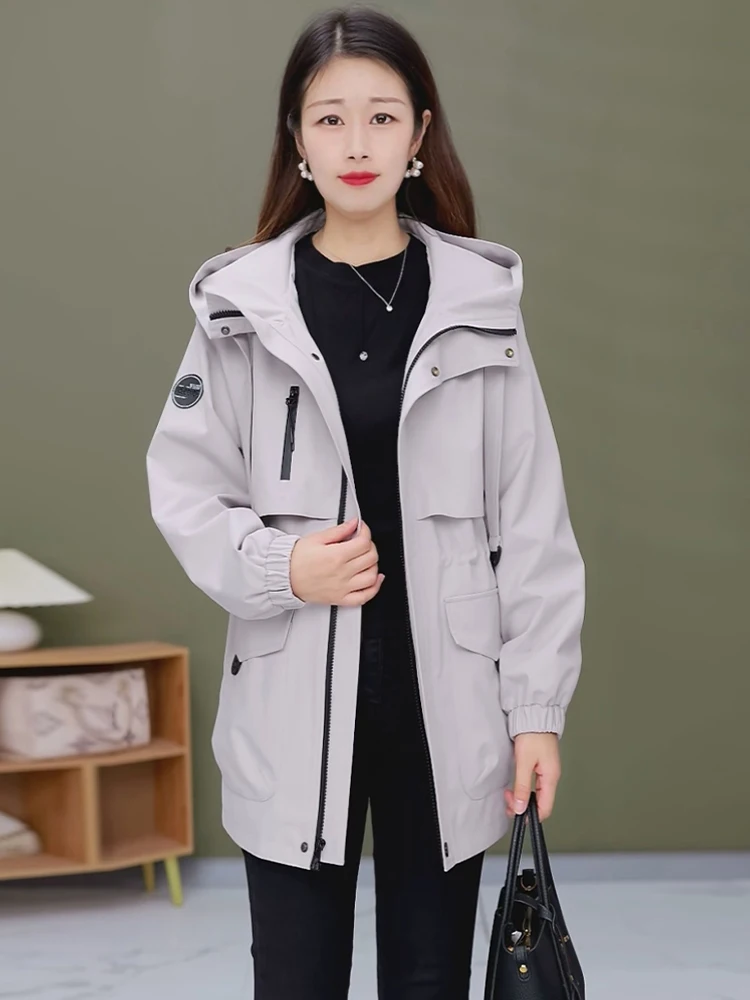 เสื้อฮู้ดสไตล์เกาหลีลำลองสำหรับผู้หญิง ทรงหลวม ไซส์ใหญ่ เหมาะสำหรับต้นฤดูใบไม้ร่วง ให้ความรู้สึกสบายๆ ทันสมัย