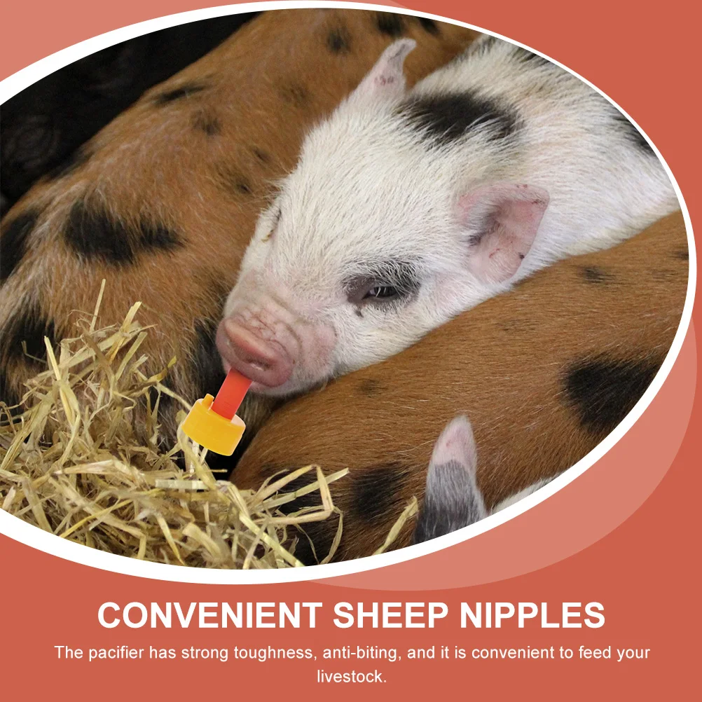 

5pcs Replaceable Bottle Safe Sheep Goat Feeding Nursing Supplies For Piglet Lamb Calf Anti-Biting Easy Clean Livestock Milk