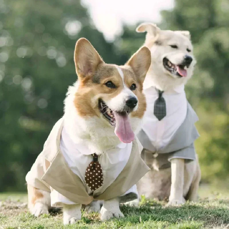 Ropa para perros, esmoquin, caniche, Schnauzer, Corgi Shiba Inu, Husky, Labrador, Golden Retriever, ropa para perros grandes, traje de boda