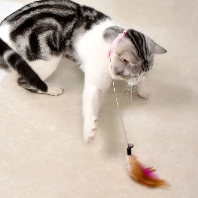 

Cat Toys Feather Wand Interactive Collar Worn Hands Free Design Self Entertaining Toy Flexible Steel Wire Soft Feather Boredom