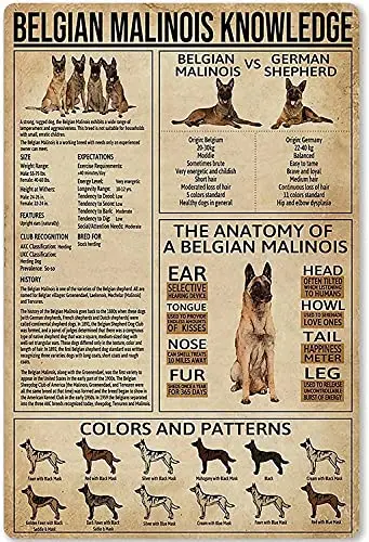 Belgian Malinois Knowledge Art Wall Decor Retro Metal Tin Signs The Anatomy Of A Belgian Malinois Printed Poster Pet Shop Bar Ca