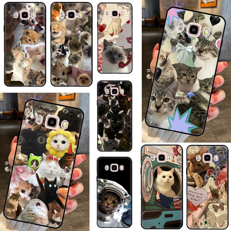 Funny Cute Kitty Ca… - image