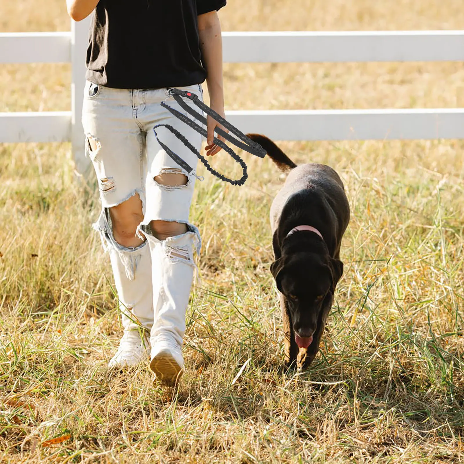 

Sports Dog Leash Hands- Heavy Duty Walking Waist Belt Small Medium Dogs Pet Traction Rope Outdoor Hiking Jogging