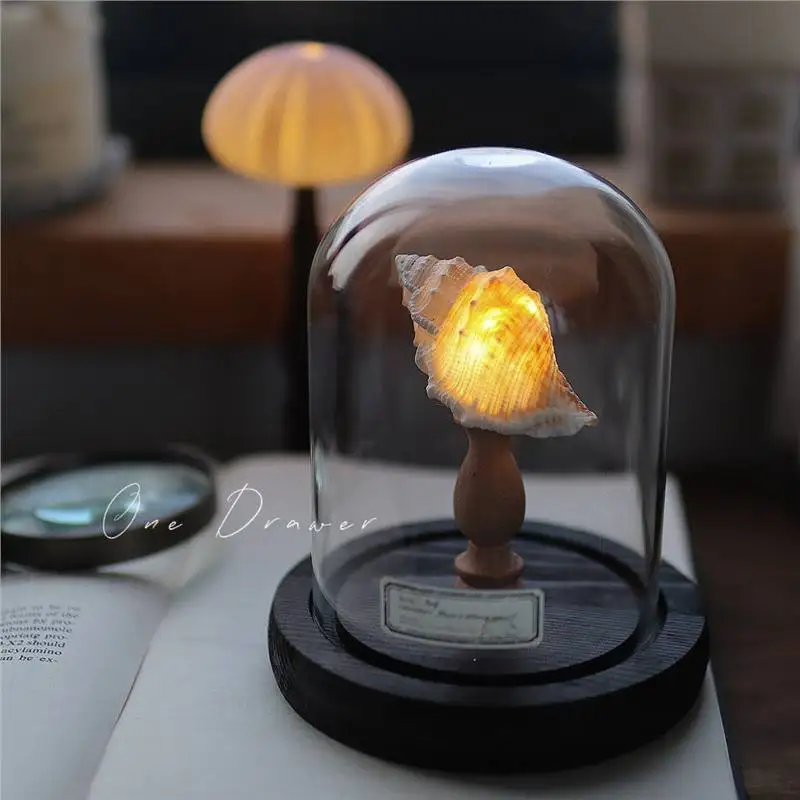 Sea Urchin Shell Night Light,Beach Ocean Decor Lamp,Handmade Seashell Lantern with Sea Snail,Vintage Coastal Bedroom Decoration