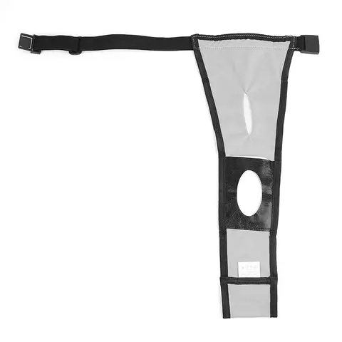 12 best sales बॉक्सर कुत्ता - №12