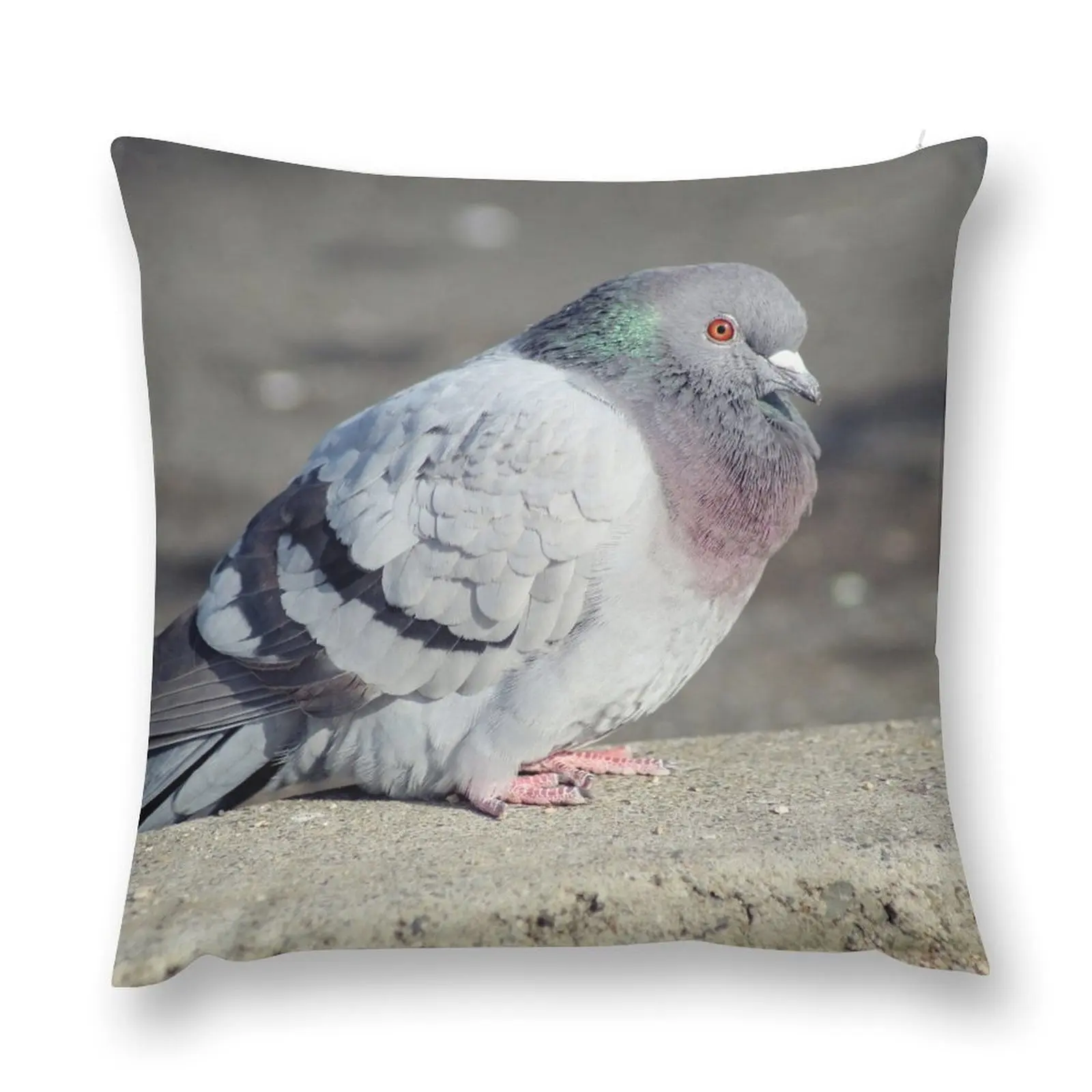 

The World's Most Beautiful Pigeon Throw Pillow Cushions For Children autumn pillowcase pillow cover christmas pillow