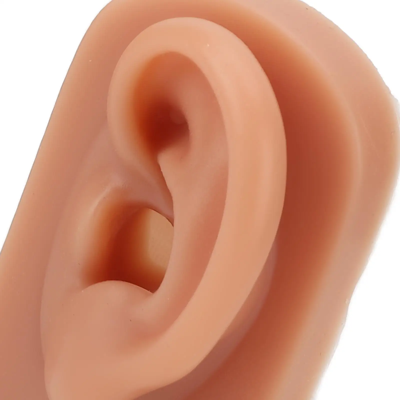 نموذج أذن بشري من السيليكون ذو ملمس ناعم يسار يمين لممارسة الثقب، ملمس مرن لاستخدام الصالون