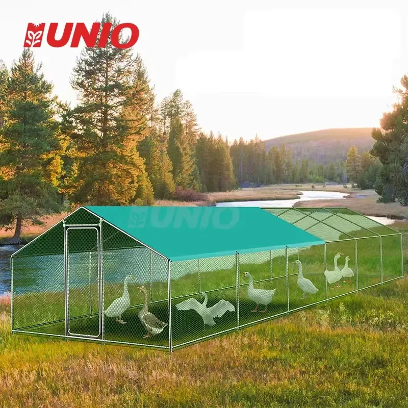 Hot Product 2022 Large Galvanized Steel Chicken Coop on Discount