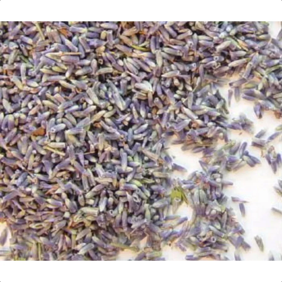 

Lavender Flower Buds #1 Uses Culinary and Crafting 4oz Bag