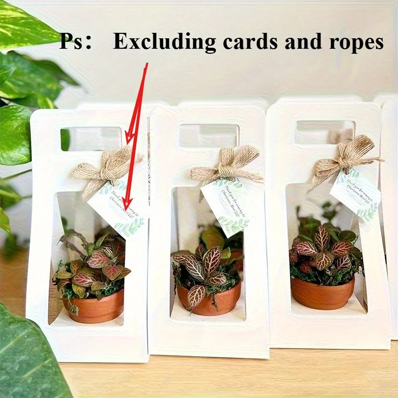 5 Stück Elegante Blumenverpackungs-Geschenkbox - Faltbare Papier-Sukkulenten-Blumentopfbox, Geeignet für Hochzeit, Veranstaltungen, Handliche Geschenkverpackung