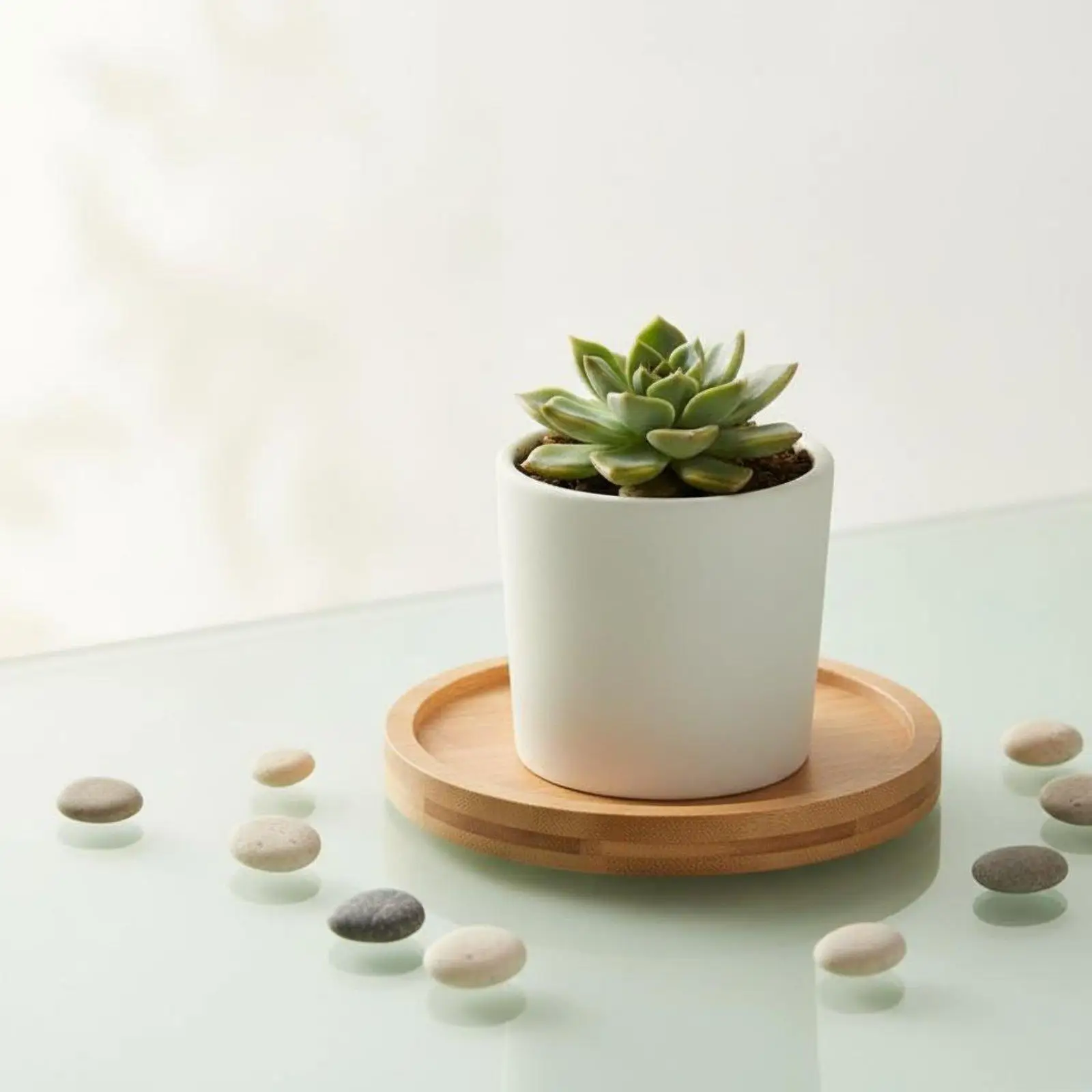 Bamboo Industrial Tray Waterproof Plant Saucer Minimalist Wooden Base Indoor Pot Holder for Home Office Decor
