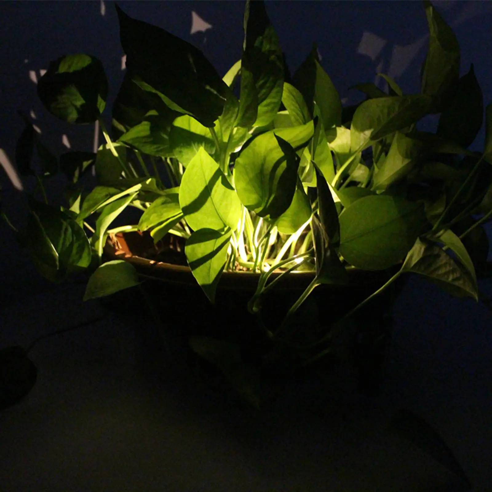 

Outdoor Solar Powered Garden Flowerpot Lights Waterproof LED Lamp for Backyard Path Patio Decor