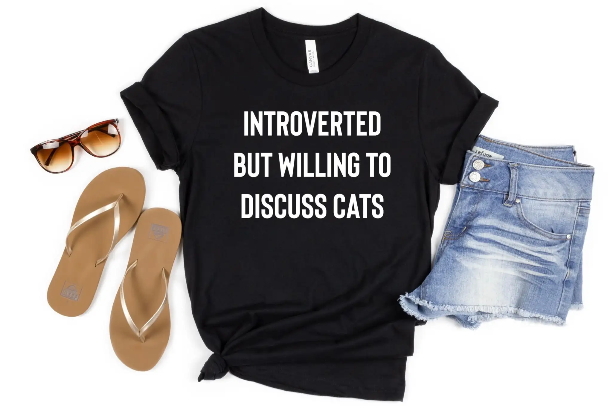 Introverted But Willing To Discuss Cats Cat Lover T Shirt Funny Mama Lady