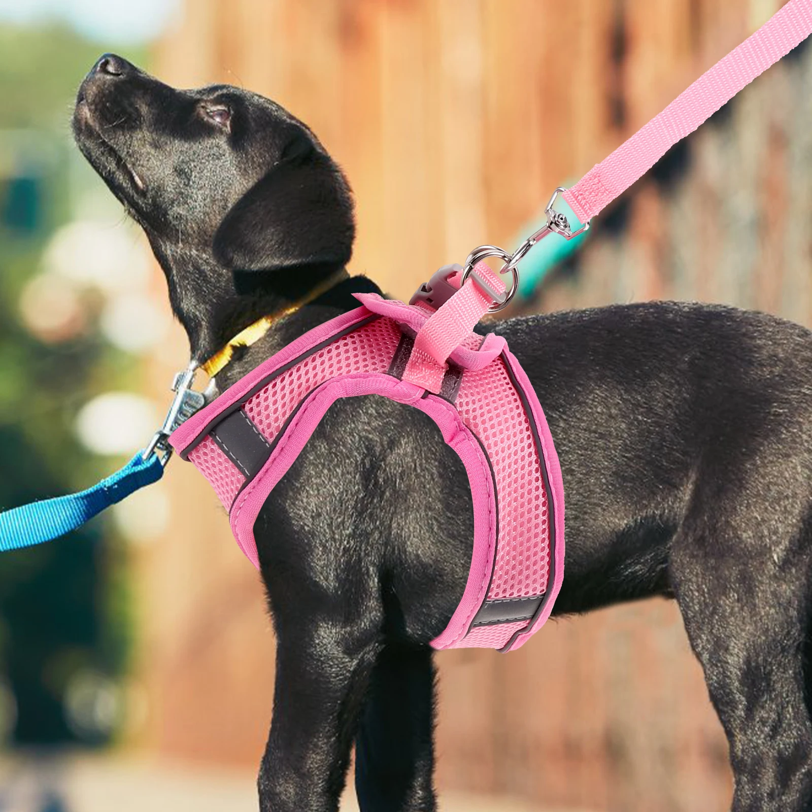 

Collar Pet Reflective Strap Walking Polyester Breathable Dogs Harness for Small