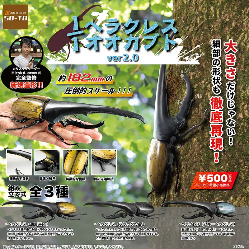 New SO-TA Gashapon Figure Anime Cute 1/1 Artificial Insect Japanese Rhinoceros Beetle Kawaii ornamen Figurine Capsule Toys Gifts
