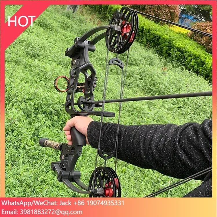 

Compound Bow Arrow Dual Use Archery Bow and Arrow Hunting Left Handed Archery Composite Bow