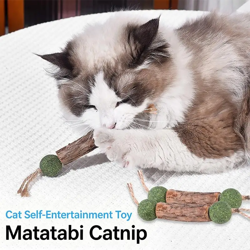 3Pcs Cat Cleaning Teeth Pure Natural Catnip Cat Molar Toothpaste Stick Cat Snack Stick Toys